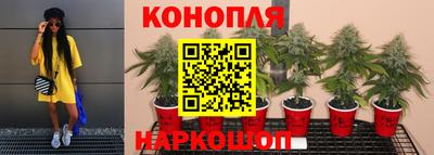 MDMA Коммунар
