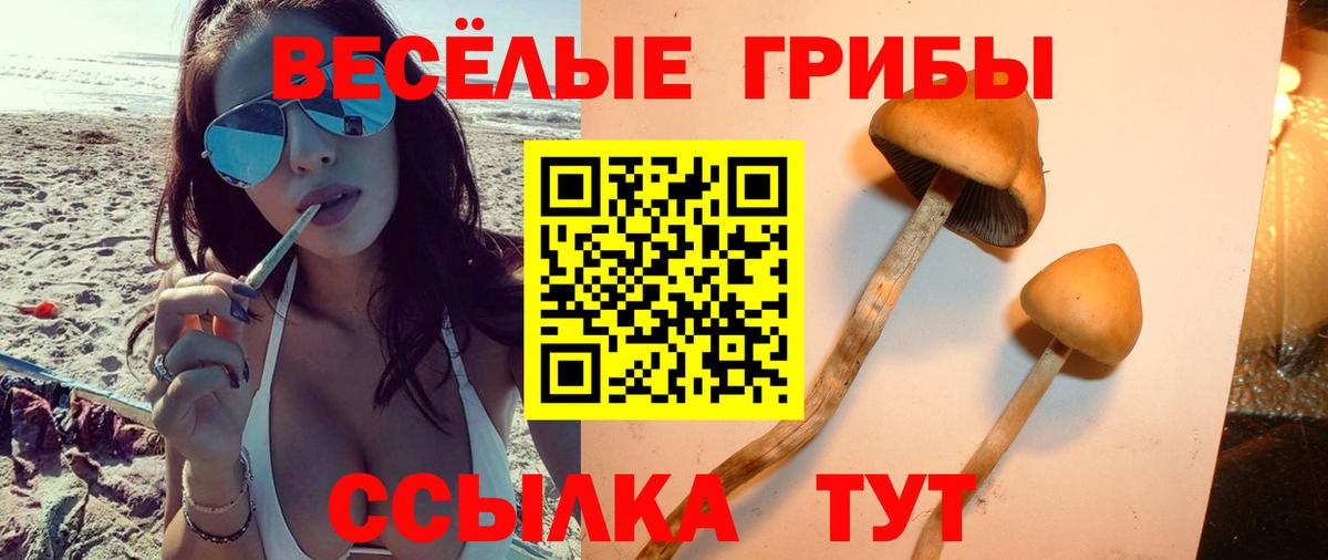 Карпинск  как найти закладки  Вход с VPN  Галлюциногенные грибы мухоморы 